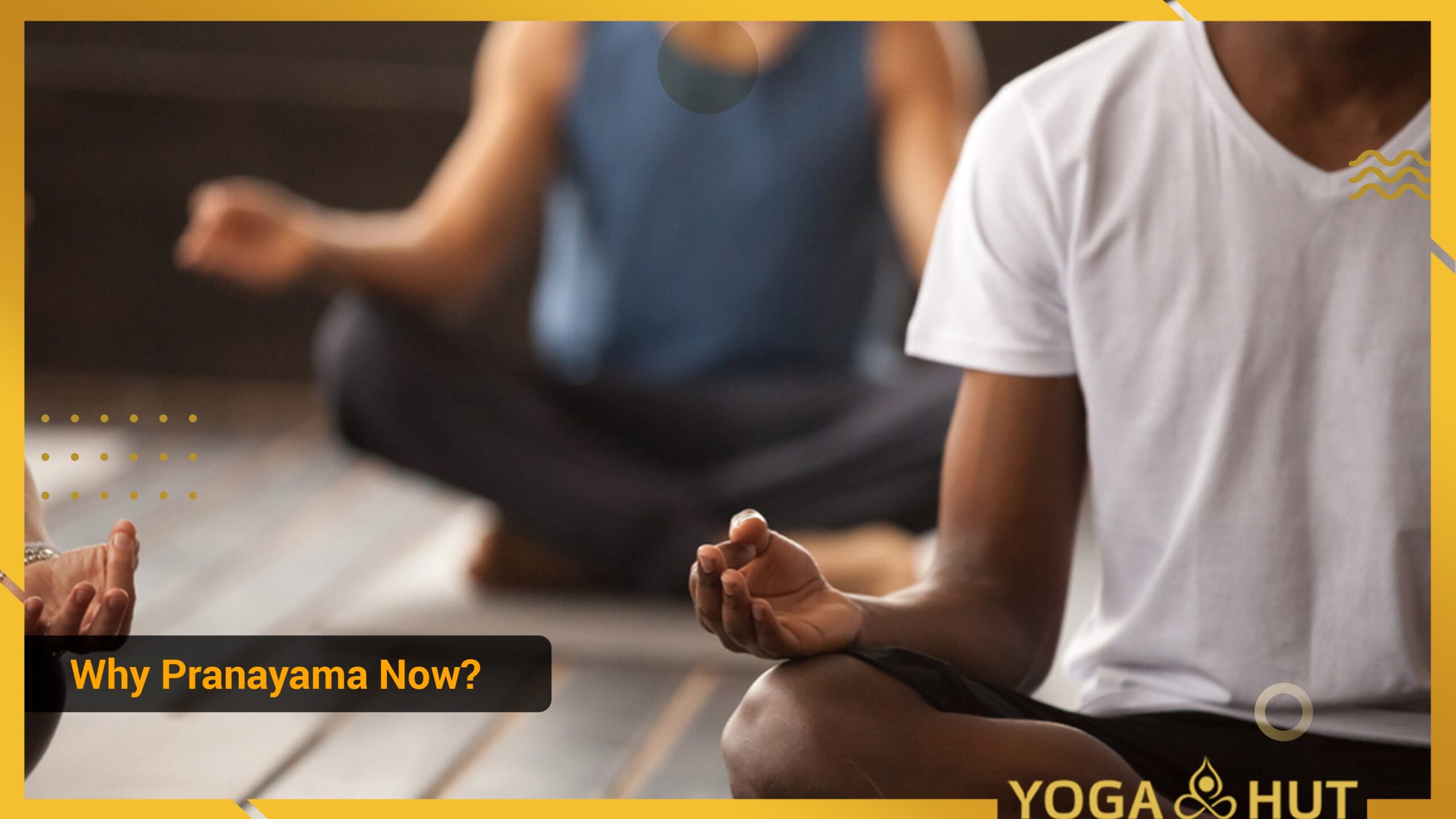 Necessity of Pranayama 